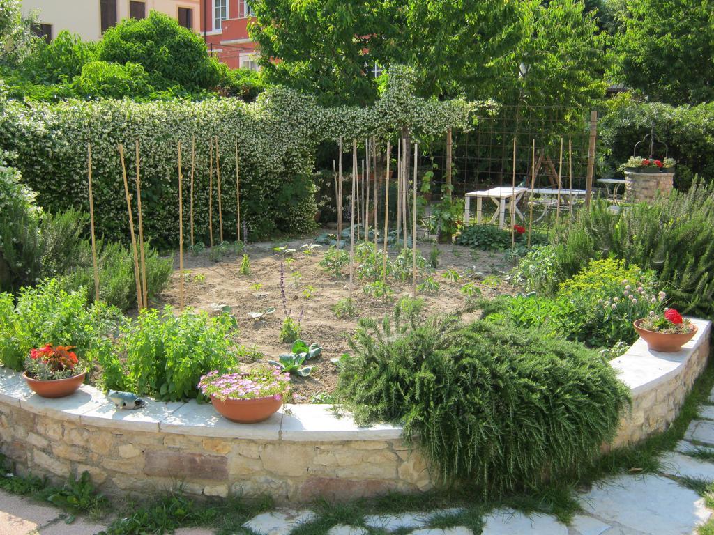 La Residence Da Caterina Vittorio Veneto Quarto foto